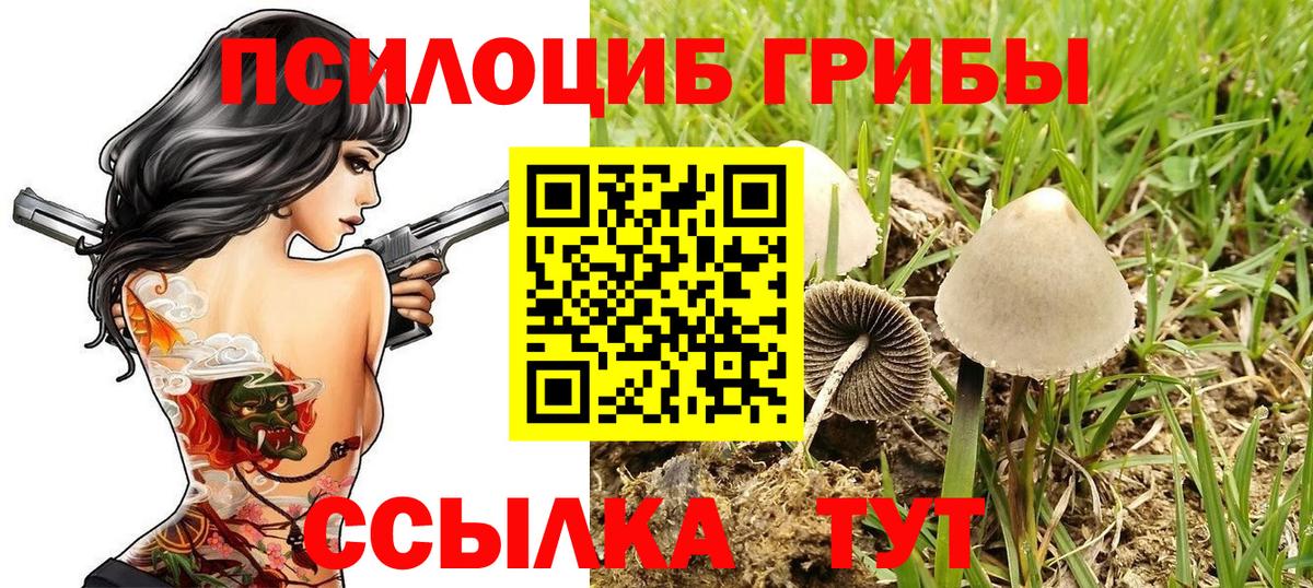Псилоцибиновые грибы прущие грибы Волжский